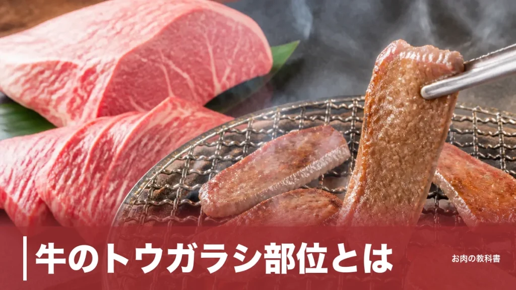 牛のトウガラシ部位とは？1頭2kgだけの希少赤身の位置・カロリー・焼き方を完全ガイドのアイキャッチ画像