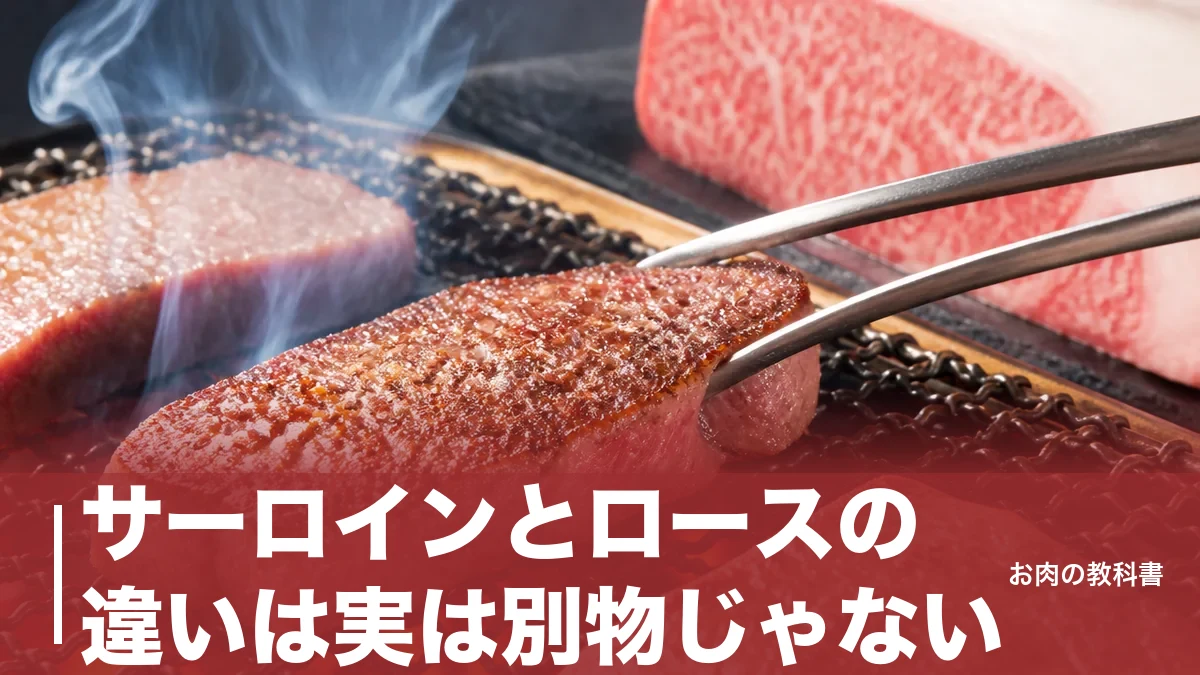 サーロインとロースの違いは実は別物じゃない？部位図とカロリーで完全整理のアイキャッチ画像