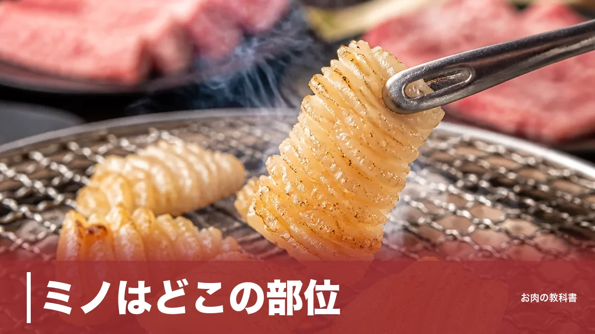 ミノはどこの部位？牛の第一胃で166kcal、上ミノとミノサンドの違いまで解説のアイキャッチ画像