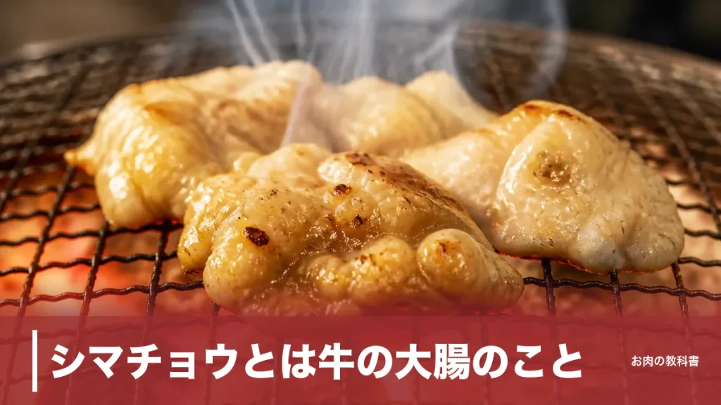シマチョウとは牛の大腸のこと｜1頭6kgの希少部位を栄養・焼き方まで解説のアイキャッチ画像