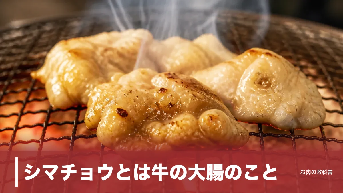 シマチョウとは牛の大腸のこと｜1頭6kgの希少部位を栄養・焼き方まで解説のアイキャッチ画像