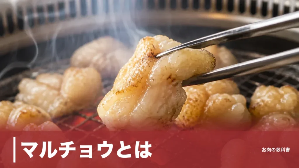 マルチョウとは？牛小腸を裏返した脂の宝庫｜シマチョウとの違い・268kcalの正体を解説のアイキャッチ画像
