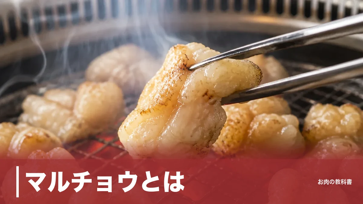 マルチョウとは？牛小腸を裏返した脂の宝庫｜シマチョウとの違い・268kcalの正体を解説のアイキャッチ画像
