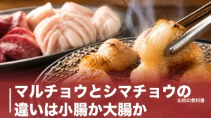 マルチョウとシマチョウの違いは小腸か大腸か｜脂質2倍・カロリー・焼き方まで徹底比較のアイキャッチ画像