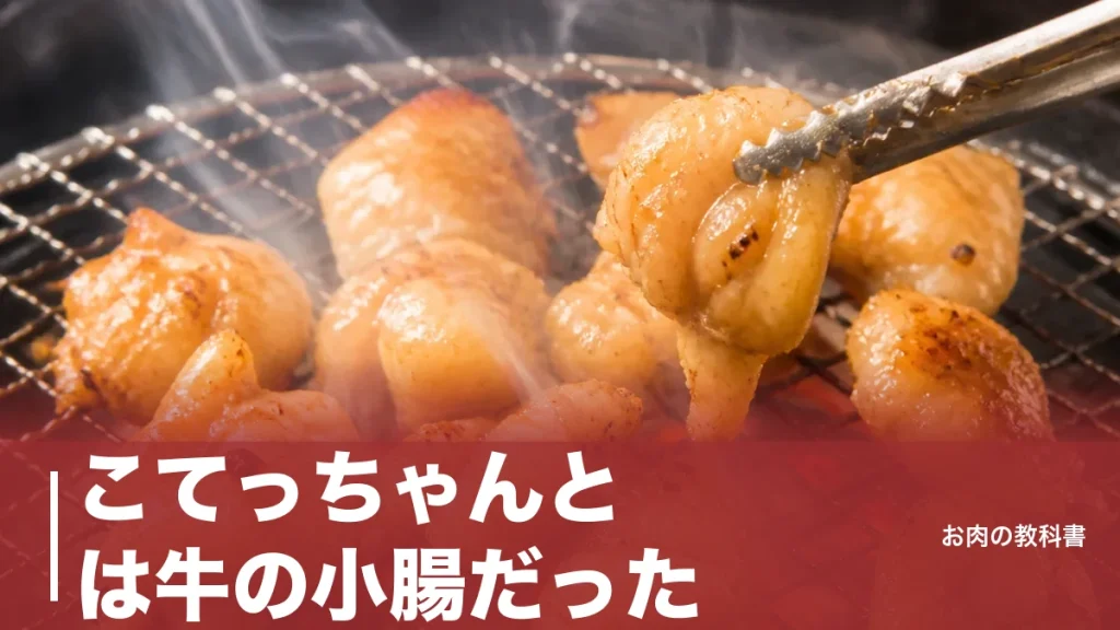 こてっちゃんとは牛の小腸だった｜名前の由来と172kcalの栄養を焼肉好きが解説のアイキャッチ画像