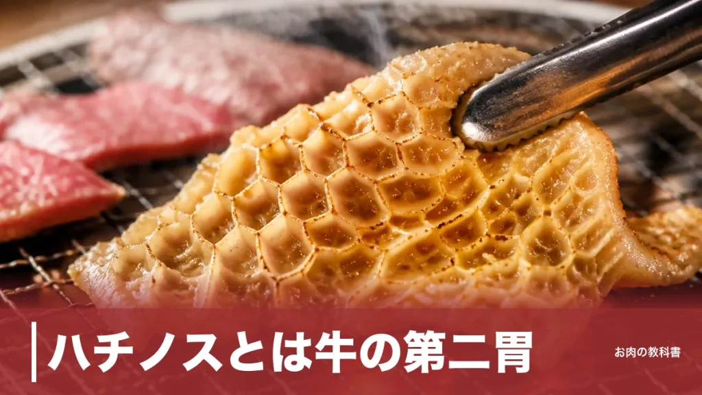 ハチノスとは牛の第二胃！186kcalの栄養と臭みを消す下処理を焼肉好きが解説のアイキャッチ画像