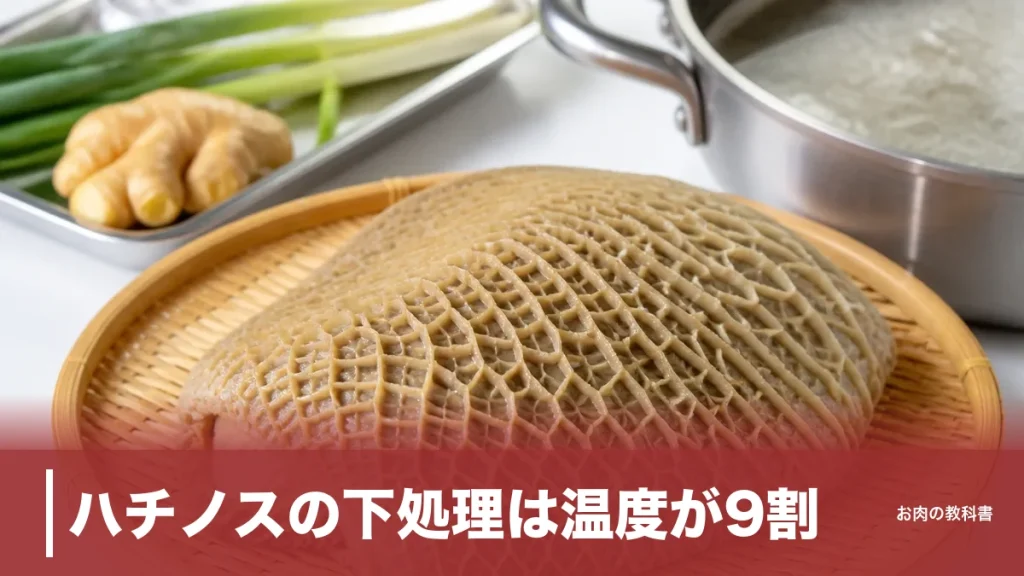 ハチノスの下処理は温度が9割｜48度→75度で皮がスルッと剥ける牛第二胃の仕込み方のアイキャッチ画像