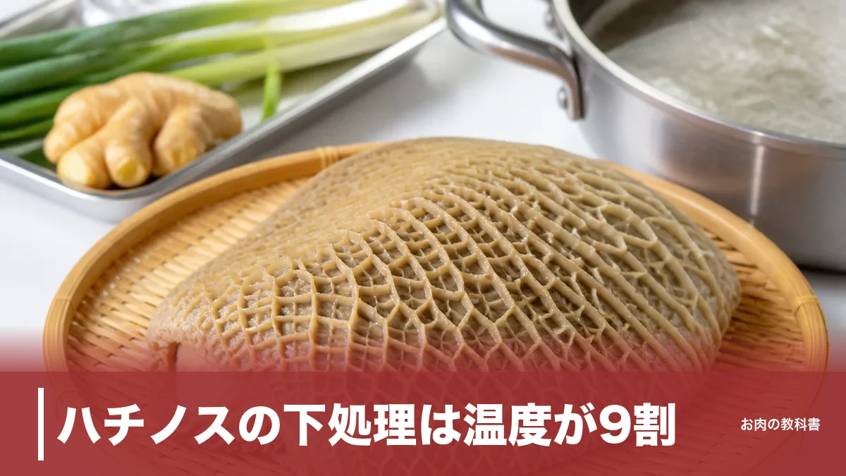 ハチノスの下処理は温度が9割｜48度→75度で皮がスルッと剥ける牛第二胃の仕込み方のアイキャッチ画像