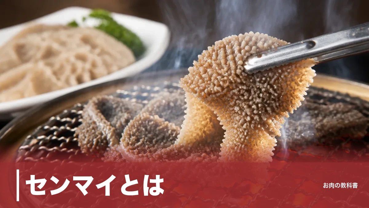 センマイとは？牛の第三胃で57kcalの低カロリー、黒と白の違いまで焼肉好きが解説のアイキャッチ画像