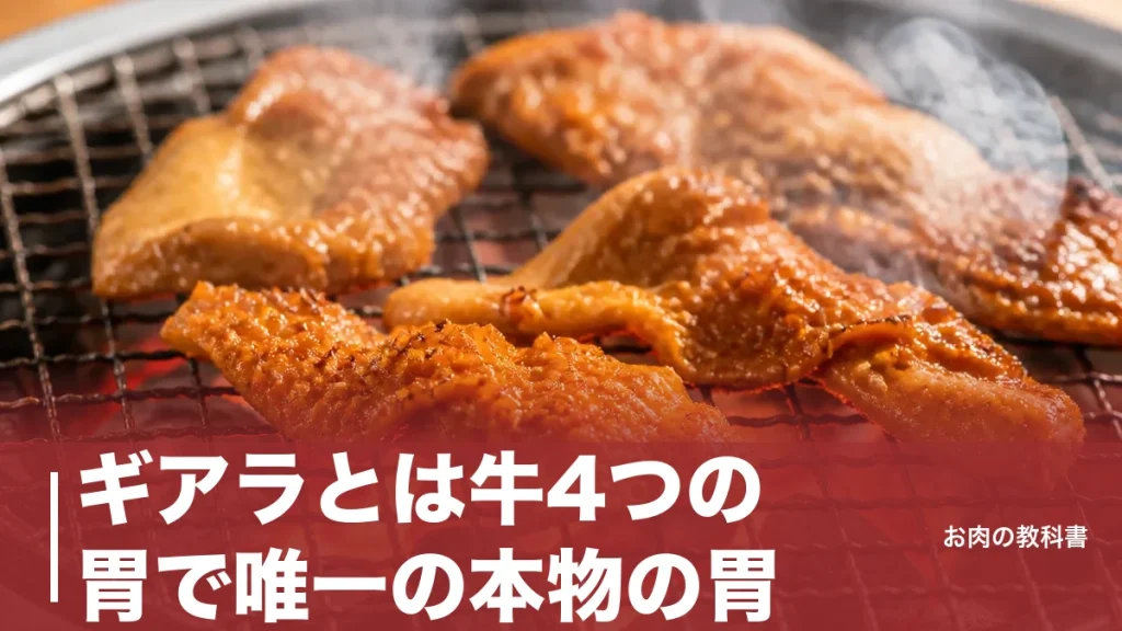 ギアラとは牛4つの胃で唯一の本物の胃｜赤センマイと呼ばれる第四胃を焼肉好きが解説のアイキャッチ画像