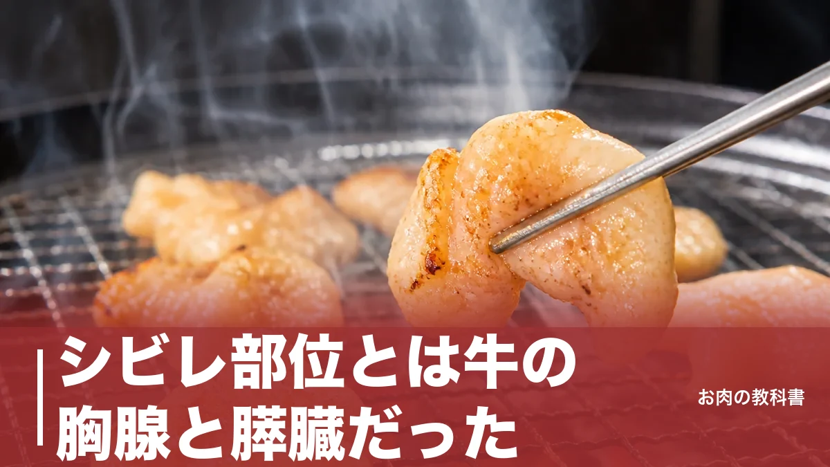 シビレ部位とは牛の胸腺と膵臓だった|子牛だけの希少ホルモンを味・焼き方まで解説のアイキャッチ画像