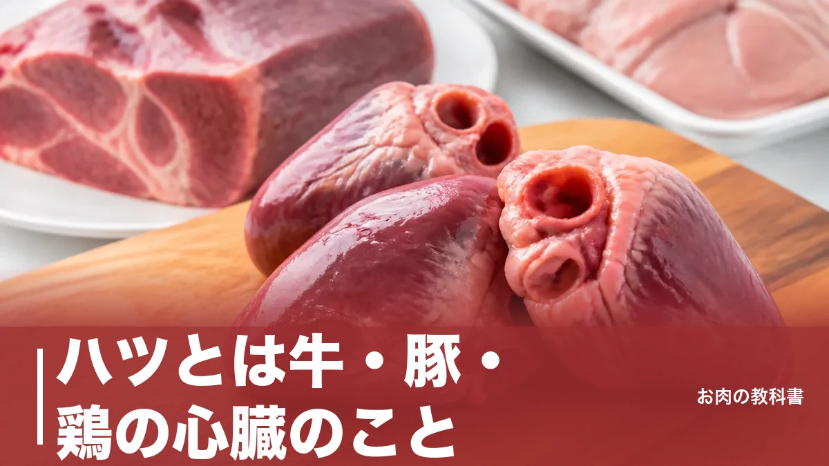 ハツとは牛・豚・鶏の心臓のこと｜1頭2kgの希少部位を128kcalの栄養で解説のアイキャッチ画像