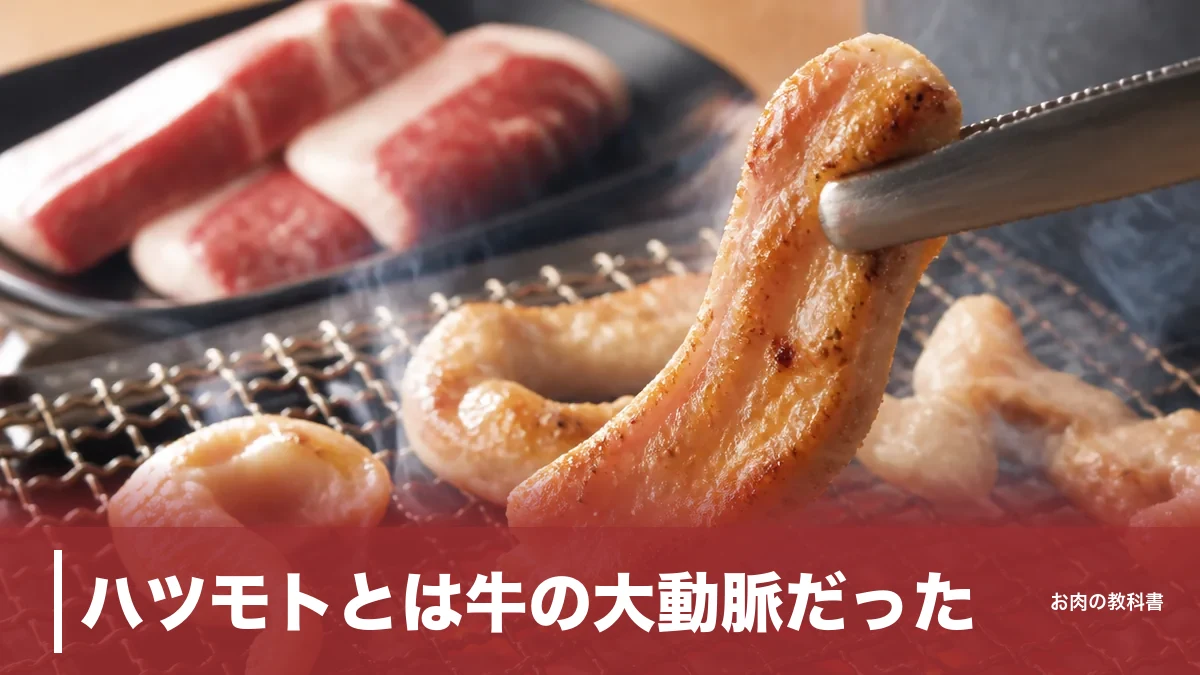 ハツモトとは牛の大動脈だった|1頭300gの希少ホルモン、コリコリ食感と焼き方を解説のアイキャッチ画像