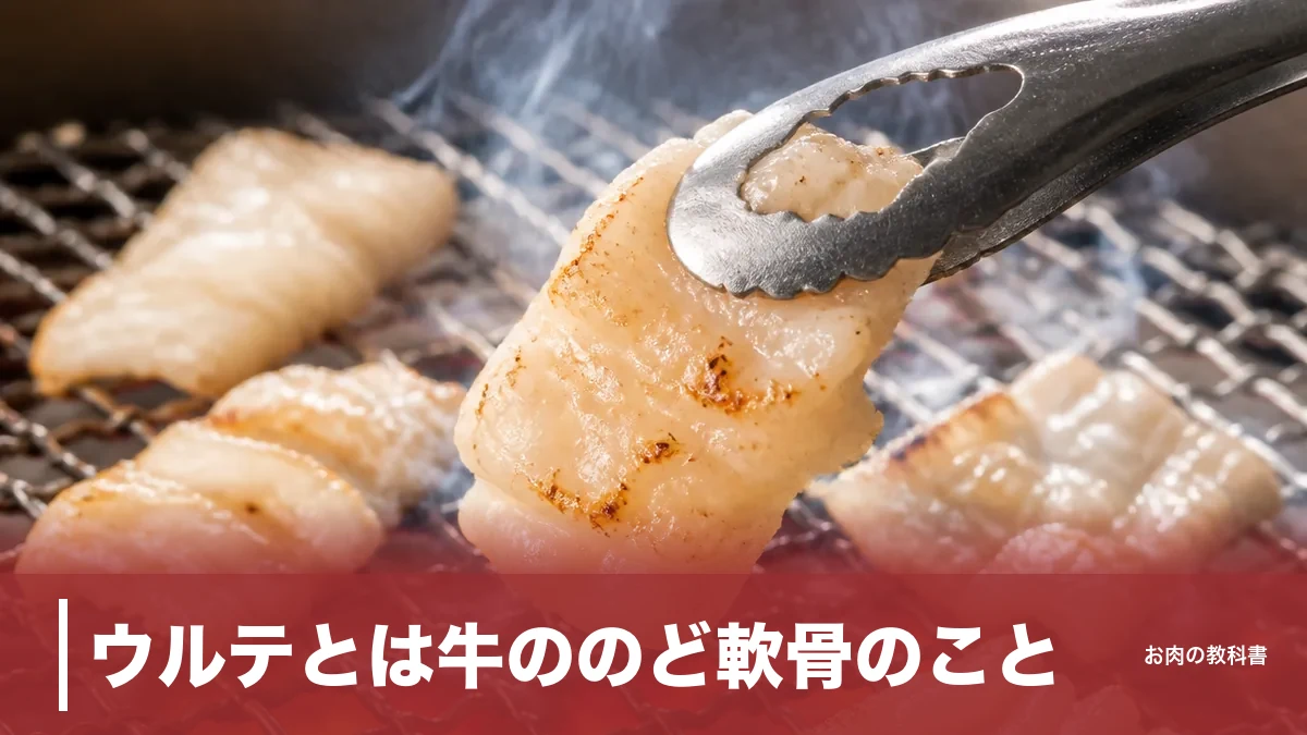 ウルテとは牛ののど軟骨のこと|1頭500gだけの希少ホルモンを食感と栄養で解説のアイキャッチ画像
