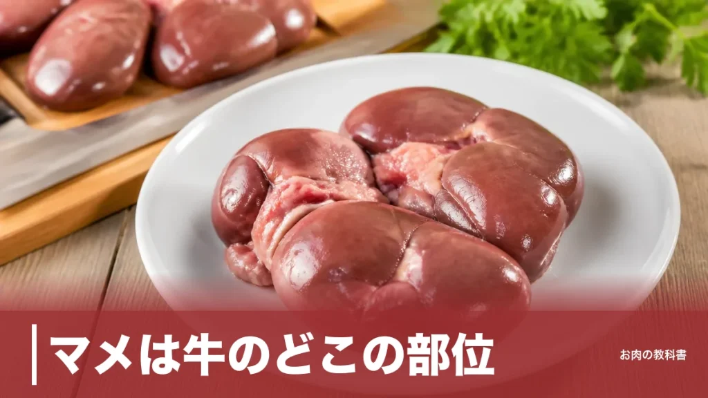 マメは牛のどこの部位？1頭に2個だけの腎臓を118kcalの栄養と焼き方で解説のアイキャッチ画像