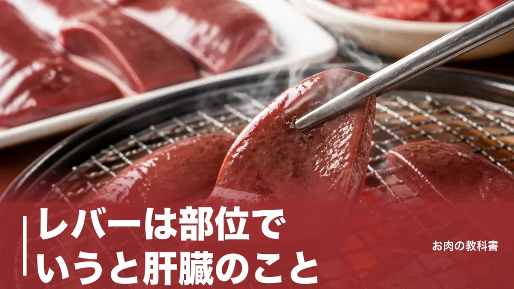 レバーは部位でいうと肝臓のこと｜牛・豚・鶏の違いと鉄13mgの差を焼肉好きが解説のアイキャッチ画像