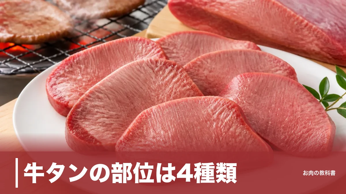 牛タンの部位は4種類｜タン元・タン中・タン先・タン下の違いを味と318kcalで解説のアイキャッチ画像