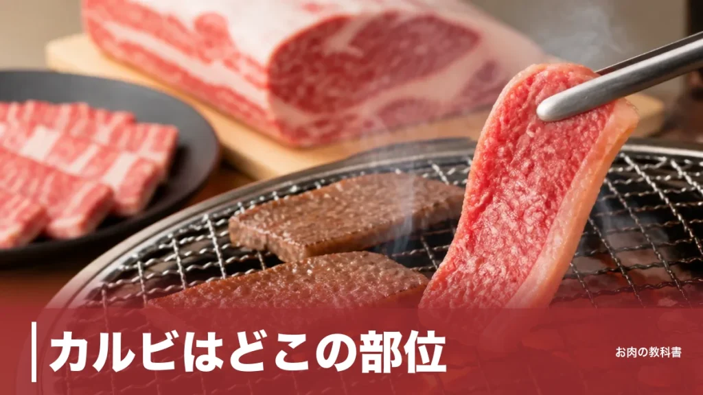 カルビはどこの部位？正体はバラ肉、517kcalと三角バラ・中落ちの違いを解説のアイキャッチ画像
