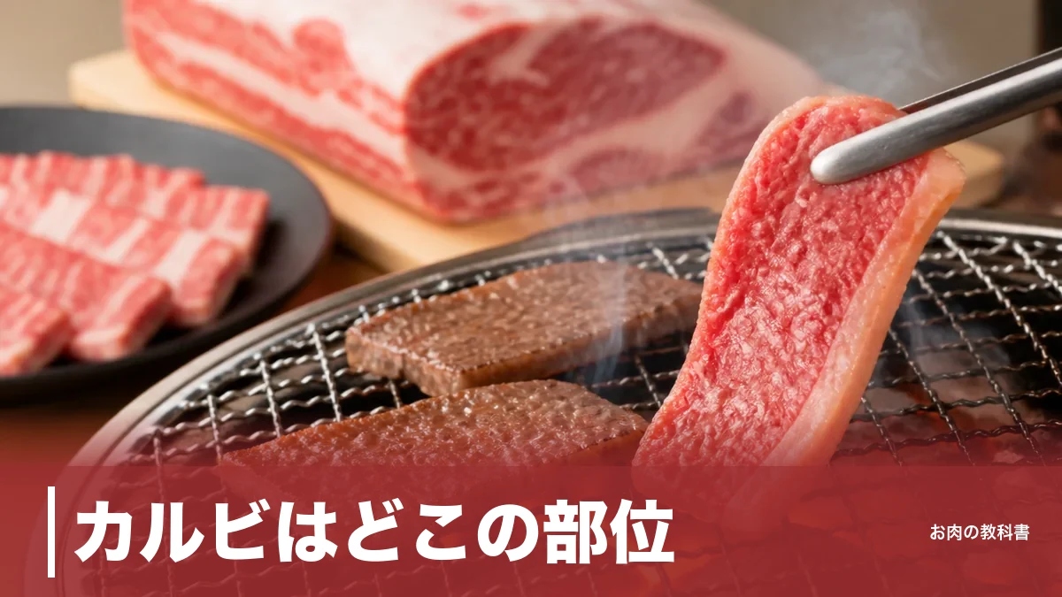 カルビはどこの部位？正体はバラ肉、517kcalと三角バラ・中落ちの違いを解説のアイキャッチ画像