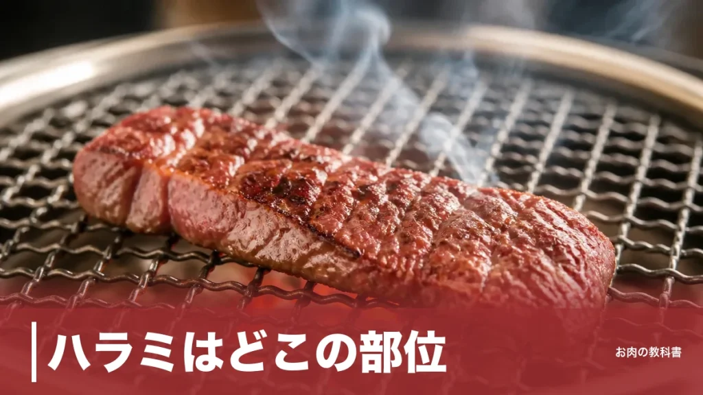 ハラミはどこの部位？実は内臓だった横隔膜の場所とサガリとの違いを徹底図解のアイキャッチ画像
