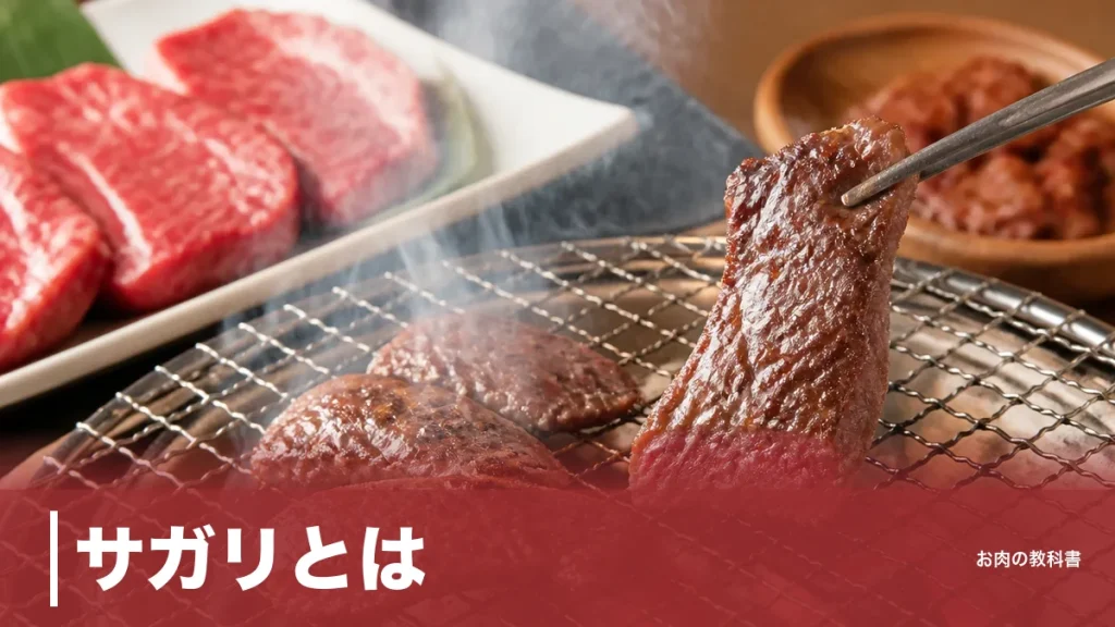 サガリとは？牛1頭に1本の希少部位｜ハラミとの違いと288kcalの栄養を解説のアイキャッチ画像