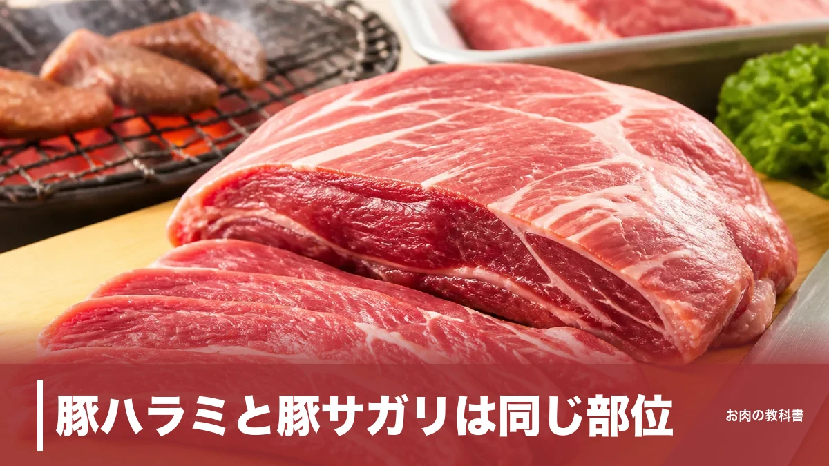 豚ハラミと豚サガリは同じ部位？1頭200gの横隔膜を味・栄養・焼き方で解説のアイキャッチ画像