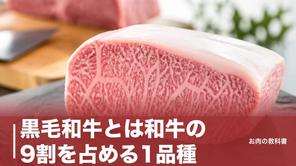 黒毛和牛とは和牛の9割を占める1品種｜A5の意味と460kcalの正体を解説のアイキャッチ画像