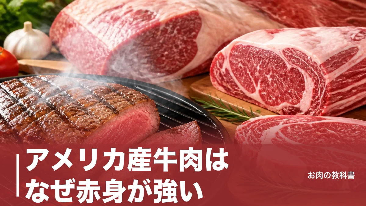 アメリカ産牛肉はなぜ赤身が強い？150日穀物肥育とUSDA格付を成分表の数値で解説のアイキャッチ画像