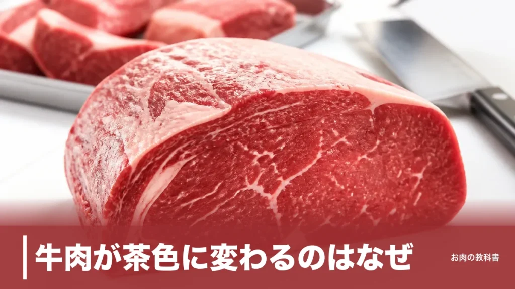 牛肉が茶色に変わるのはなぜ？メトミオグロビン変色と腐敗を分ける4つのサインのアイキャッチ画像