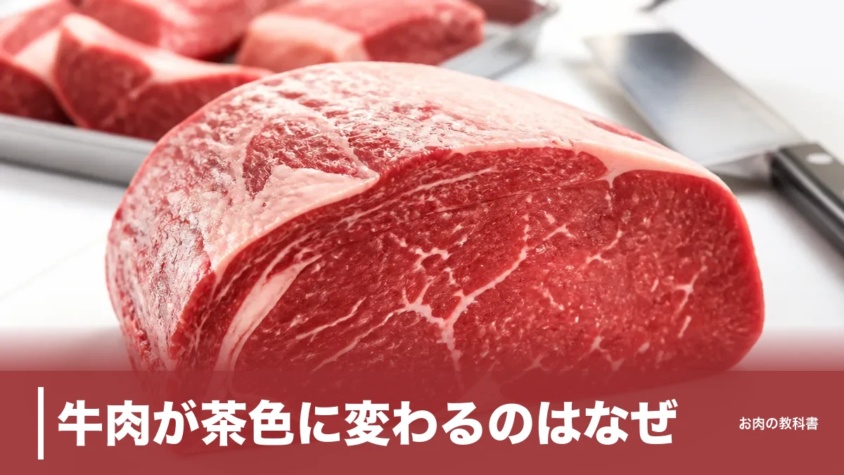 牛肉が茶色に変わるのはなぜ？メトミオグロビン変色と腐敗を分ける4つのサインのアイキャッチ画像