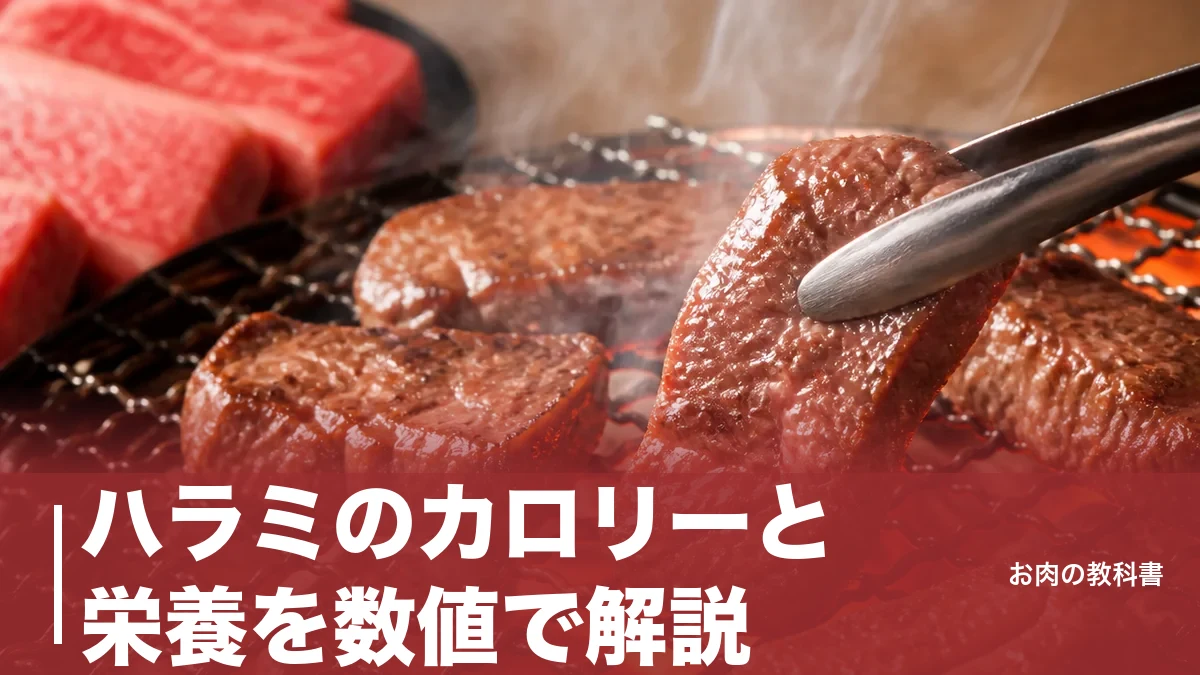ハラミのカロリーと栄養を数値で解説｜生288kcalが焼くと401kcalになる理由のアイキャッチ画像