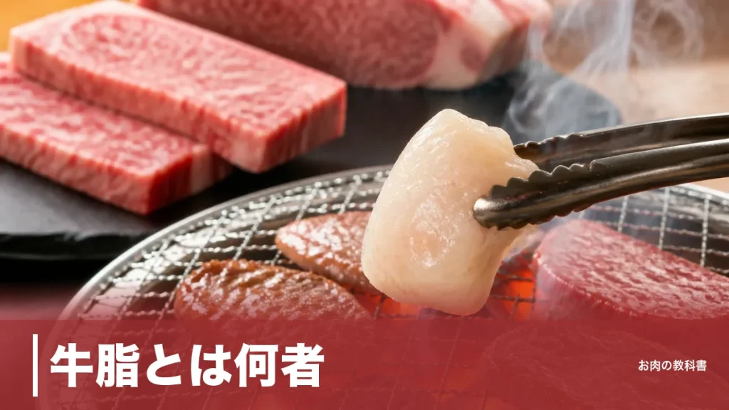 牛脂とは何者？100g869kcalの正体と料理が化ける使い方を焼肉好きが解説のアイキャッチ画像