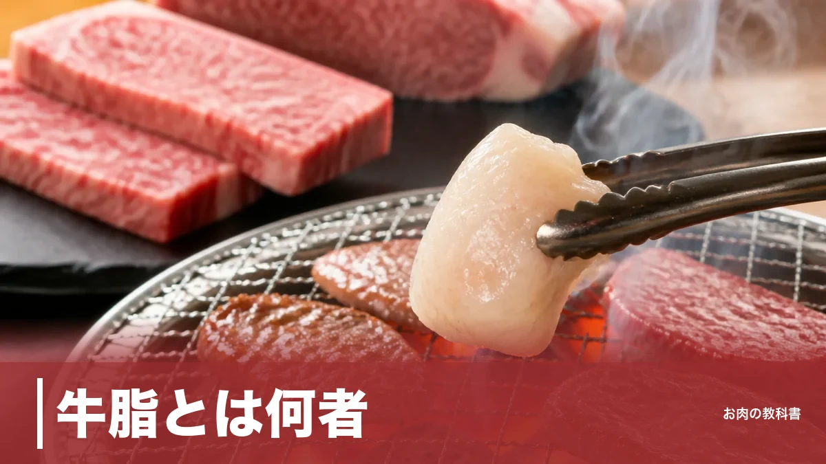 牛脂とは何者？100g869kcalの正体と料理が化ける使い方を焼肉好きが解説のアイキャッチ画像