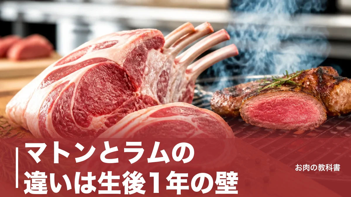 マトンとラムの違いは生後1年の壁|門歯の本数・香り・栄養を数値で完全整理のアイキャッチ画像