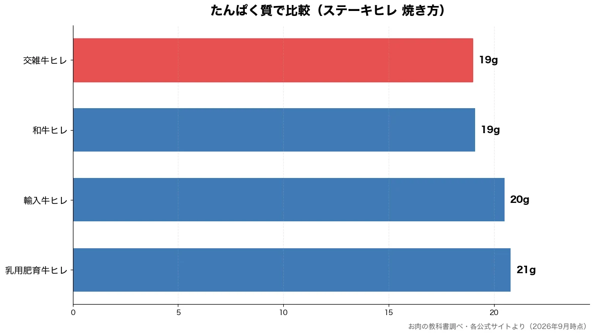 たんぱく質の比較チャート（交雑牛ヒレ 19g・和牛ヒレ 19g・輸入牛ヒレ 20g・乳用肥育牛ヒレ 21g）