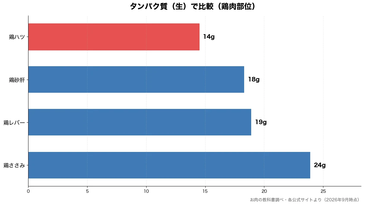 タンパク質（生）の比較チャート（鶏ハツ 14g・鶏砂肝 18g・鶏レバー 19g・鶏ささみ 24g）